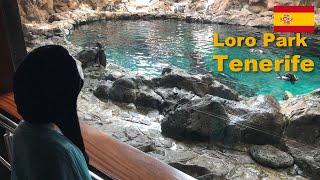 Loro Park Tenerife