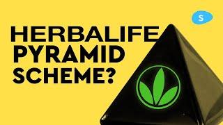 Is Herbalife a Pyramid Scheme? - Company Forensics