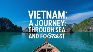 Vietnam A Journey Through Sea and Forest