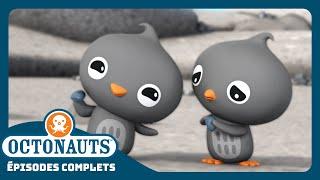 Octonauts - ️ Les pingouins Adélie   Saison 2  Épisodes complets