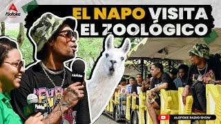 EL NAPO VISITA EL ZOOLOGICO & SE VE DE FRENTE CON LOS LEONES EXCURSION CON ALOFOKE RADIO SHOW