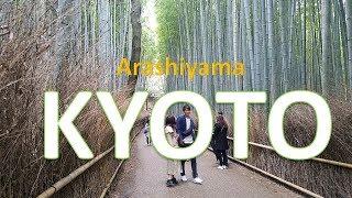 ARASHIYAMA  Hutan Bambu di Kyoto Jepang