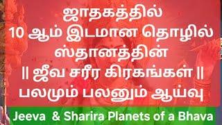 ஜாதகத்தில் தொழில் ஸ்தானமான 10ஆம் இடத்தின் ஜீவ சரீர கிரகங்களின் பலமும் பலன்களும் Jeeva Sharira Grahas