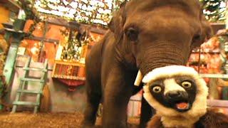 Zoboomafoo with the Kratt Brothers BABY ELEPHANT 2  Full Episodes Compilation