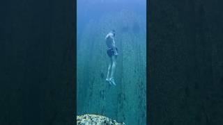 Freefall from the surface. Barracuda Lake Coron Palawan The Philippines 