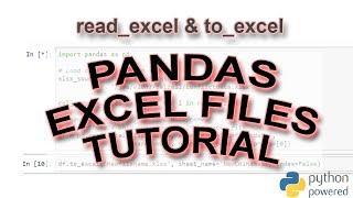 How to Use read_excel and to_excel