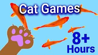 Giochi per gatti - Cattura pesci  video solo per gatti da guardare  Versione 8 ore  CAT GAMES TV
