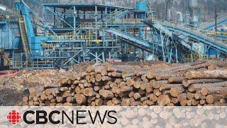 Canada officially challenging unfair U.S. duties on softwood lumber