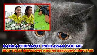 Nabila Febrianti Mencoba Menolong Kucing Hampir Tertabrak Truk Malah Kehilangan Satu Kakinya