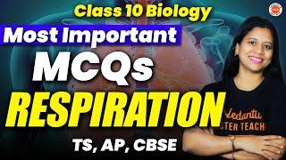 Most Important MCQs  RESPIRATION  SSC Biology 2025   TS AP CBSE  Sunaina Maam