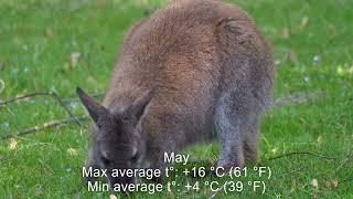 Seasons in Australia Temperature and Climate by Month