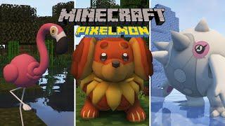 Pixelmon Version 9.1.11 Update New Pokemon The Electric Gym and Dragon Gym