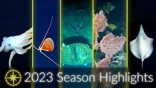 2023 Expedition Season Highlights Deep Sea Science and Collaboration  Nautilus Live