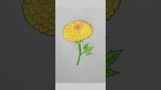 how to draw a flower step by step drawing #drawingvideo #easydrawing #flowerdrawing