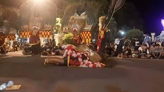 Horeg Solah Pembarong Cilik Reog Ponorogo Terbaru Live di Alun alun Ponorogo