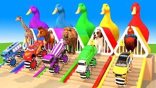 Long Slide Game With Duck Cow Chicken Dog Giraffe Lion - 3d Animal Game