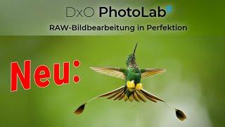 DxO PhotoLab 8 ist da     Jetzt mit großer Vorschau-Lupe     Alle Neuerungen in der Praxis