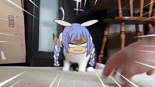 Pekora rabbit angry adventure  Animal hololive