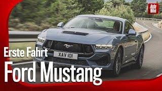 Ford Mustang 2024  Fords heißester Hengst reitet weiter  Fahrbericht mit Thomas Geiger