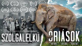  Elephants in the tourism industry in Thailand  GIANT SLAVES  documentary film