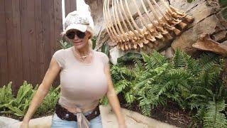 LACEY WILDDs new vlog is live at Destination Wildd.