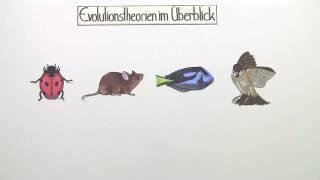 EVOLUTIONSTHEORIEN  ÜBERBLICK  Biologie  Evolutionsbiologie