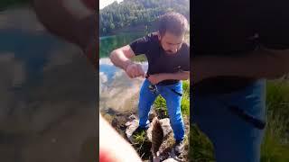 TSURİYONA ELF KAMIŞ İLK AVINDA ÇOK KEYİFLİYDİ #shorts #youtubeshorts #perch #tsurinoya #yakalabırak