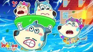 Our House is Flooded  Daily Safety Song  Wolfoo Nursery Rhymes & Kids Songs