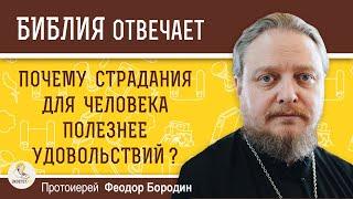 Почему страдания для человека полезнее удовольствий ? Протоиерей Феодор Бородин