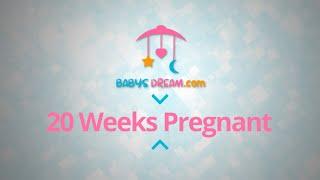 20 Weeks Pregnant  pregnancy signs and symptoms