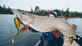 How To CATCH CLEAN and COOK Northern Pike. Ice Out Ontario Pike