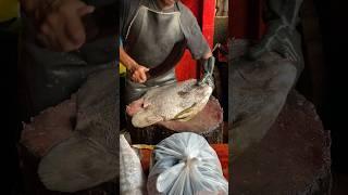 Thel Walla Fish Cutting #fishcutting_skills#srilanka#youtubeshorts