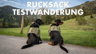 Cedric der Labrador - 248  Rucksack-Testwanderung