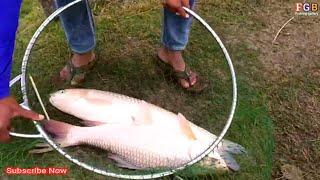 Amazing fishing video by big big Rui and glass cup fish hunting the hook video
