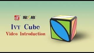 Ivy Cube-- First twist cube of QiYi Mofangge Cube