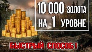 Skyrim - 10000 ЗОЛОТА в начале игры на Легендарной сложности Секретный тайник Гильдии воров