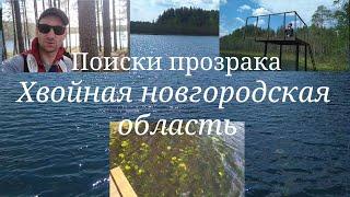 Прозрачные озёра Хвойная новгородская область июнь 2022
