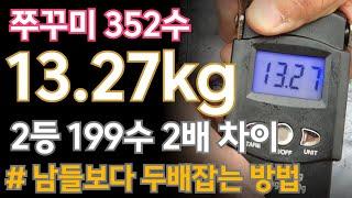 쭈꾸미낚시 홍원항 352수 13kg  2등이 199수 - 더블스코어의 비밀을 알려드립니다. 에기가 중요한게 아니에요. 에자가 중요한게 아니에요. 생미끼가 중요한게 아니에요.