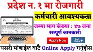 pradesh 1 loksewa vacancy 2079  pradesh 1 loksewa aayog  loksewa vacancy 2079  job vacancy