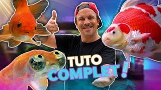 TOUT POUR METTRE BIEN TON POISSON ROUGE  -TOOPET