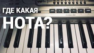 ГДЕ КАКАЯ НОТА?