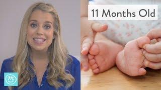 11 Months Old What to Expect - Channel Mum
