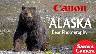 Bear & Wildlife Photography in Alaska with Canon RF Gear