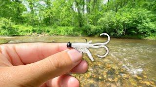 Creek Fishing w TINY Baits for Whatever Bites