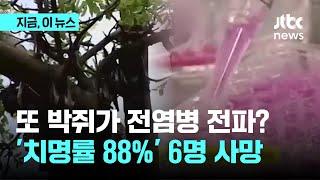 또 박쥐가 전염병 전파? 치명률 88% 6명 사망｜지금 이 뉴스