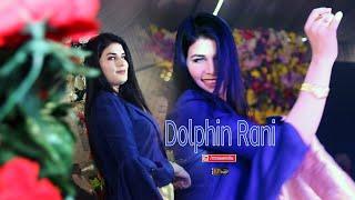 Welcome Dolphin Rani International Queen  Paro Queen Birthday islamabad  KP Studio