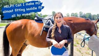 Basic English Saddle Fitting Guide For Any Horse Owner At Any Level