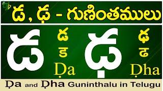 డ ఢ గుణింతాలు  Da Dha gunintham  How to write Da Dha guninthalu Telugu varnamala Guninthamulu