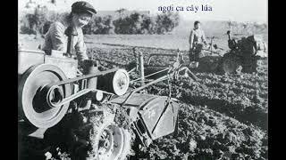 Hát về cây lúa hôm nay Hoàng Vân - Kiều Hưng 1976