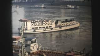 Thames Pleasure Boats at Westminster 1966